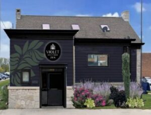 Violet Inn mockup